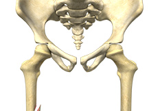 Pediatric Fractures